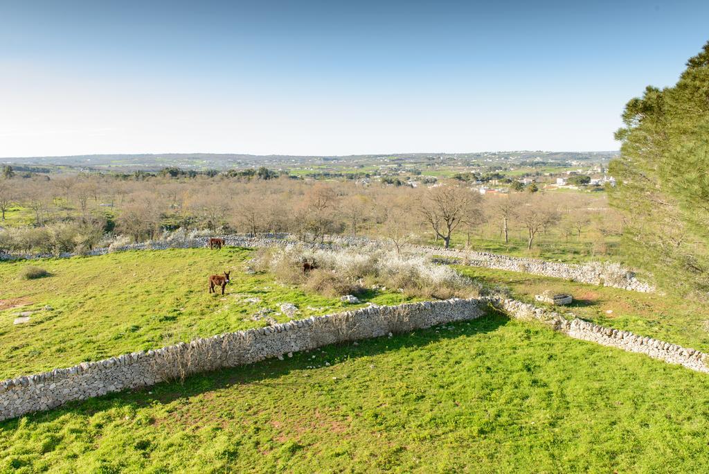 Masseria Pozzo Tre Pile Мартина-Франка Номер фото